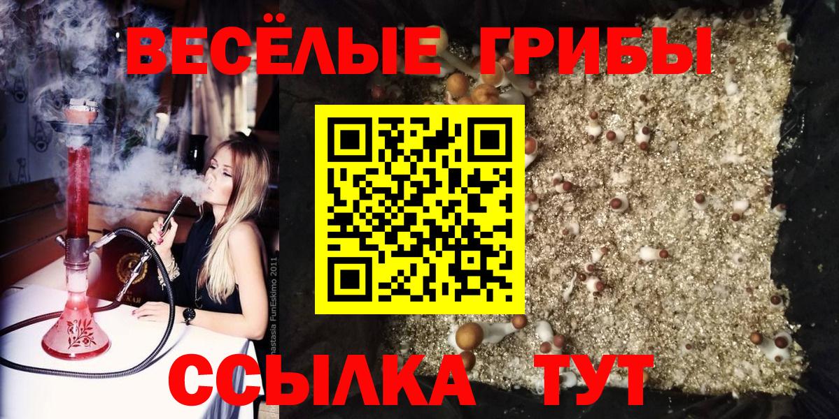 Галлюциногенные грибы Cubensis Волжский