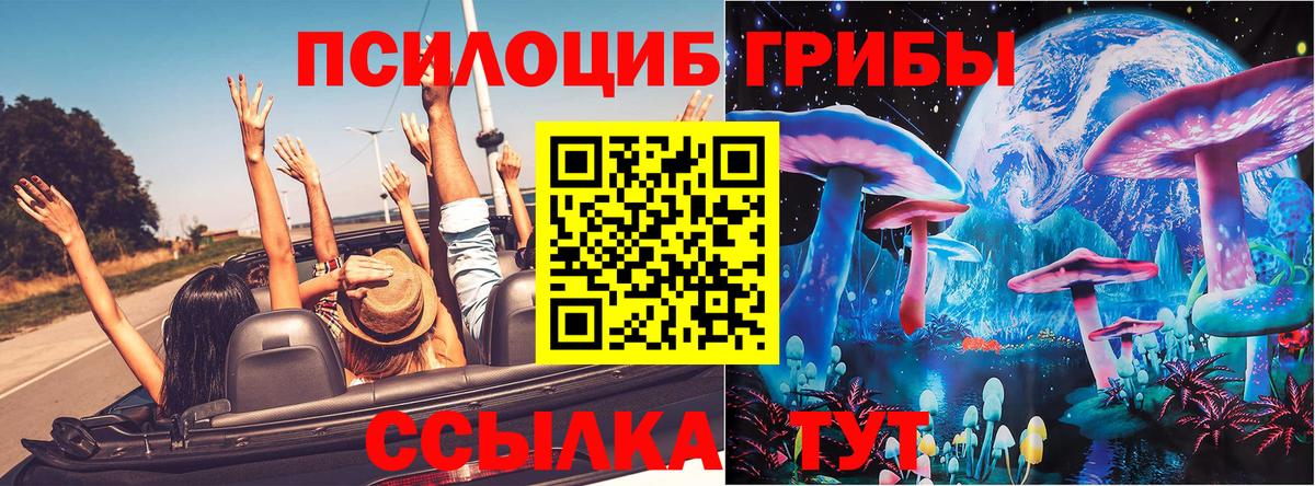 Волжский  Галлюциногенные грибы мицелий  Вход с VPN 